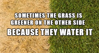 greener grass.jpg